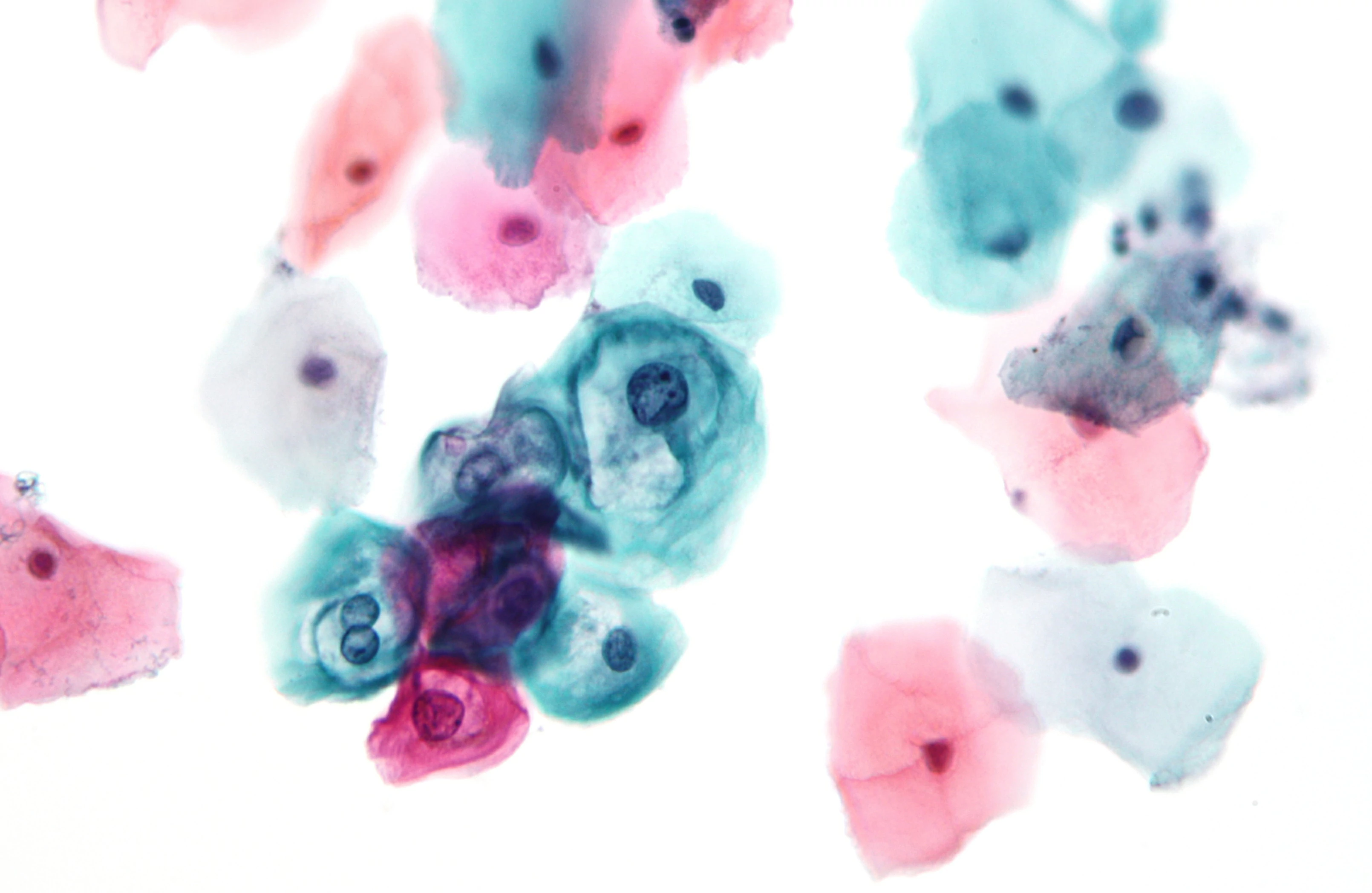 Pap Smear & Cytology