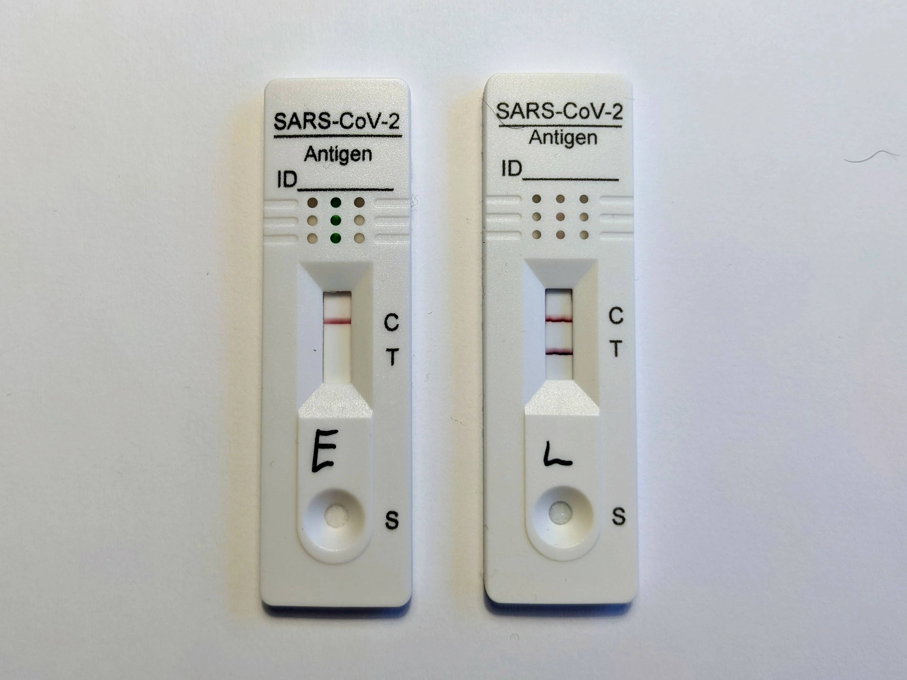 COVID-19 RT-PCR and Rapid Antigen Testing